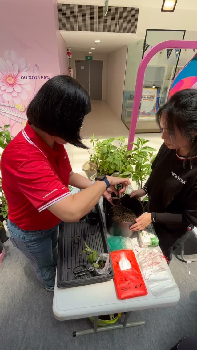 Instagram post from natcinstitute_sg. This post is in position 0.