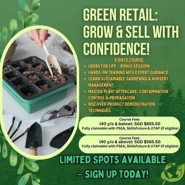 Instagram post from natcinstitute_sg. This post is in position 6.