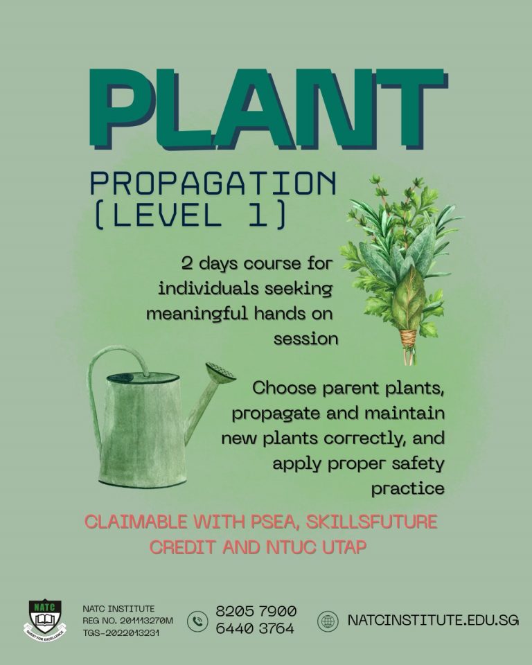 Instagram post from natcinstitute_sg. This post is in position 1.