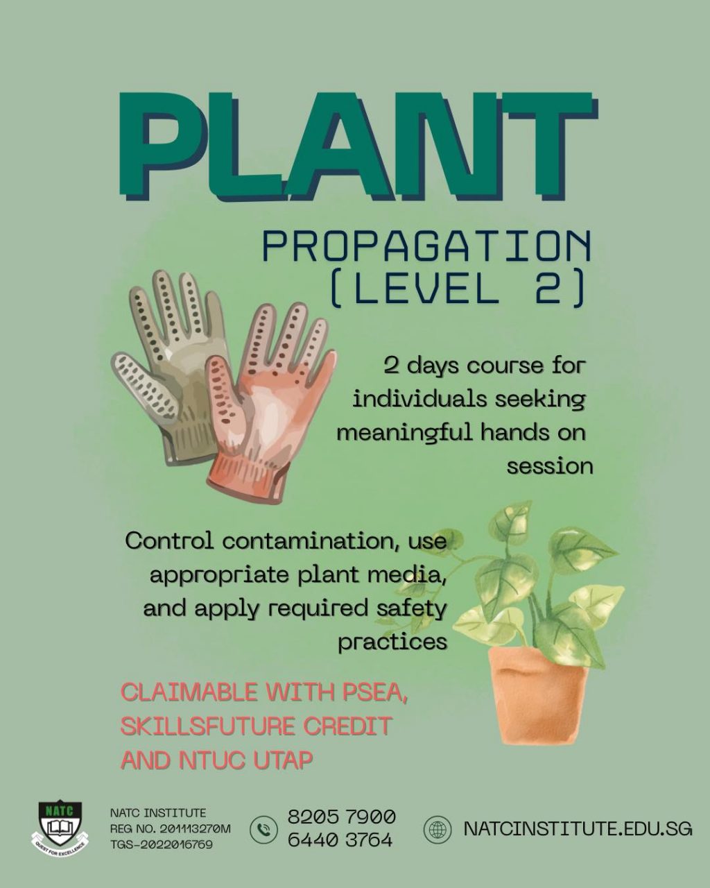 Instagram post from natcinstitute_sg. This post is in position 0.